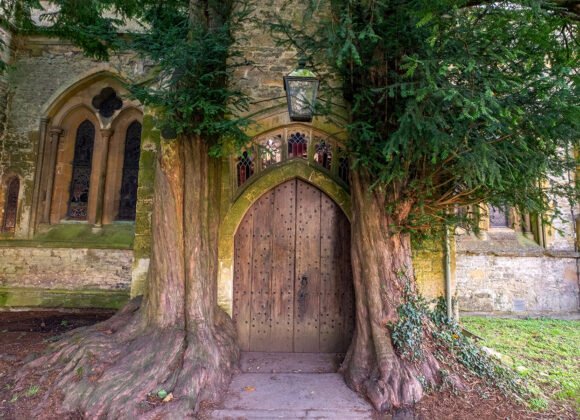 A large, old wooden door set into a stone wall, partially framed by two thick tree trunks. Where inspirationn for Doors of Durin from Lord of the Rings came, the arched entrance features intricate ironwork and stained glass windows above it. Dense green foliage surrounds it, creating a mystical appearance. Stow on the wold